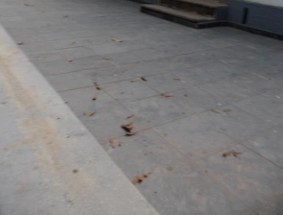 Primeiro registro do prédio em plantas